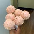 Strawberry Cheesecake Cakepops