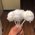 Coconut Cakepops